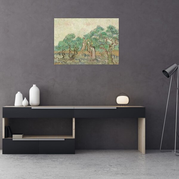 Obraz - Vincent van Gogh, The Olive Orchard, reprodukcia (70x50 cm)