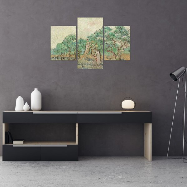 Obraz - Vincent van Gogh, The Olive Orchard, reprodukcia (90x60 cm)