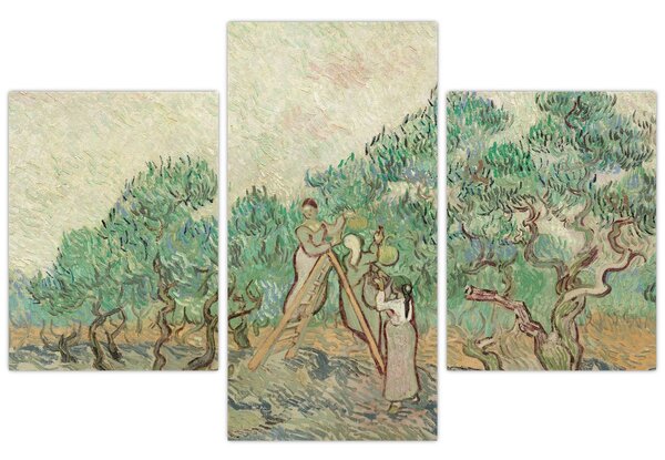 Obraz - Vincent van Gogh, The Olive Orchard, reprodukcia (90x60 cm)