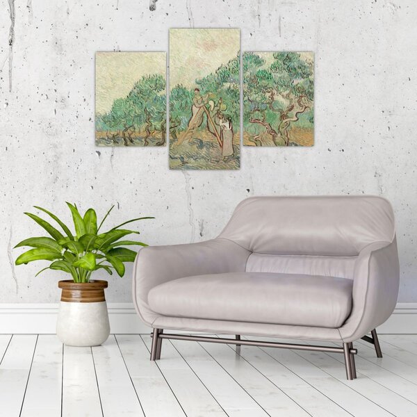 Obraz - Vincent van Gogh, The Olive Orchard, reprodukcia (90x60 cm)