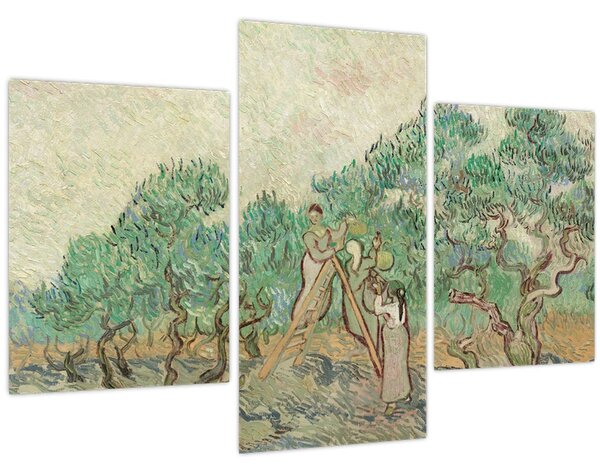 Obraz - Vincent van Gogh, The Olive Orchard, reprodukcia (90x60 cm)