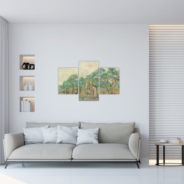 Obraz - Vincent van Gogh, The Olive Orchard, reprodukcia (90x60 cm)