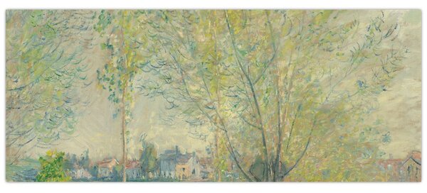 Obraz - Claude Monet, The Willows, reprodukcia (120x50 cm)