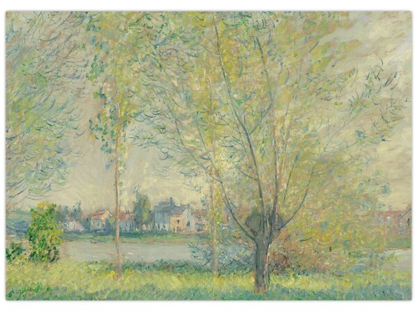 Obraz - Claude Monet, The Willows, reprodukcia (70x50 cm)
