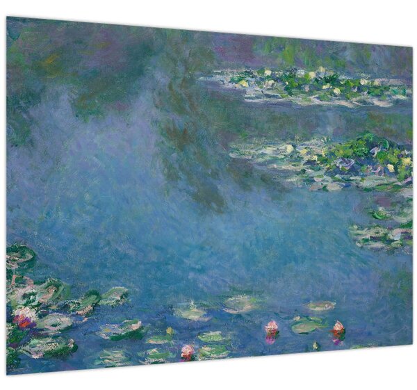 Obraz - Claude Monet, Water Lilies, reprodukcia (70x50 cm)