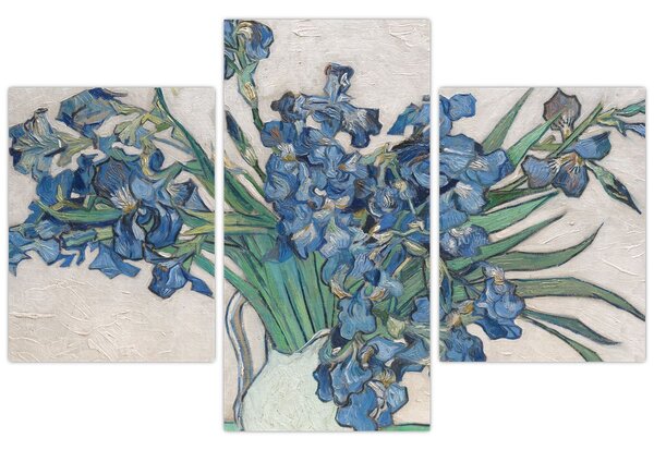 Obraz - Vincent van Gogh, Irises, reprodukcia (90x60 cm)