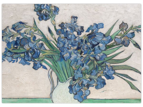 Obraz - Vincent van Gogh, Irises, reprodukcia (70x50 cm)