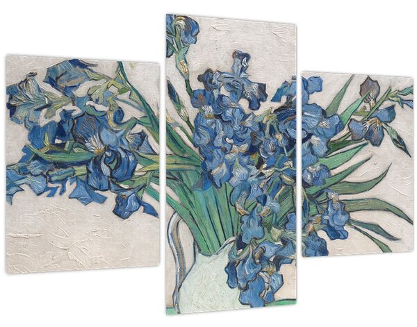 Obraz - Vincent van Gogh, Irises, reprodukcia (90x60 cm)