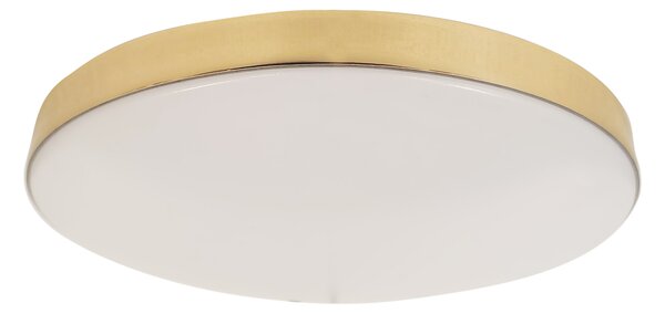 Stropné LED svietidlo Maya, 1x LED 15w, 4000k, g