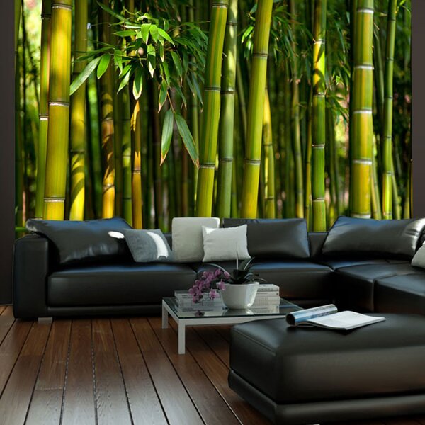 Fototapeta - Ázijský bambusový les + zadarmo lepidlo - 250x193