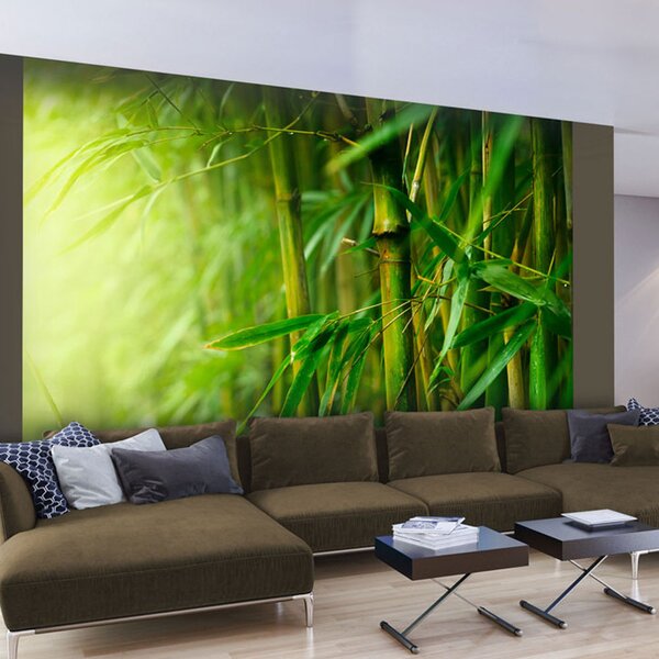 Fototapeta - Džungľa - bambus + zadarmo lepidlo - 250x193