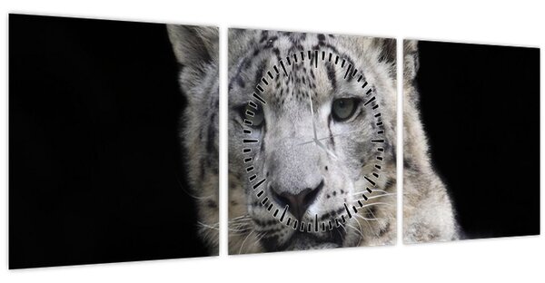 Obraz - Leopard snežný (s hodinami) (90x30 cm)