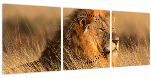 Obraz - Národný park Etosha (s hodinami) (90x30 cm)