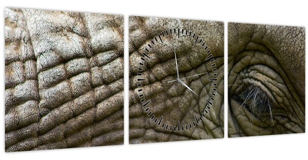 Obraz - Detailné fotografie starého slonieho oka (s hodinami) (90x30 cm)