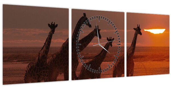 Obraz - Žirafy v africkej savane (s hodinami) (90x30 cm)
