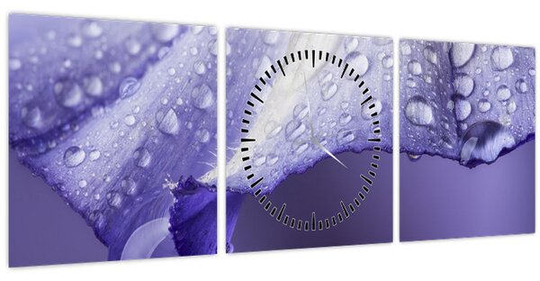 Obraz - Okvetný lístok s kvapkami (s hodinami) (90x30 cm)