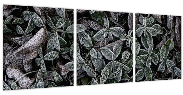 Obraz - Zamrznuté rastliny (s hodinami) (90x30 cm)