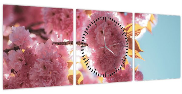 Obraz - Čerešňový kvet (s hodinami) (90x30 cm)