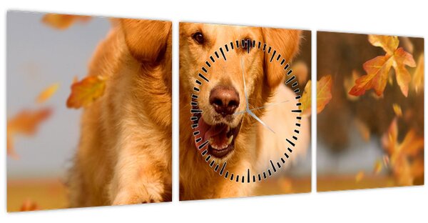 Obraz - Zlatý retriever (s hodinami) (90x30 cm)