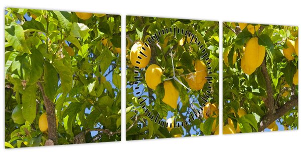 Obraz - Citrónovník (s hodinami) (90x30 cm)