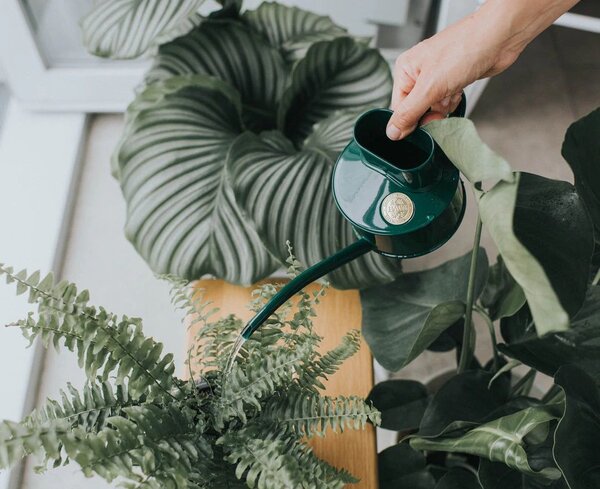 Krhlička na polievanie Fazeley Flow Green – 600 ml