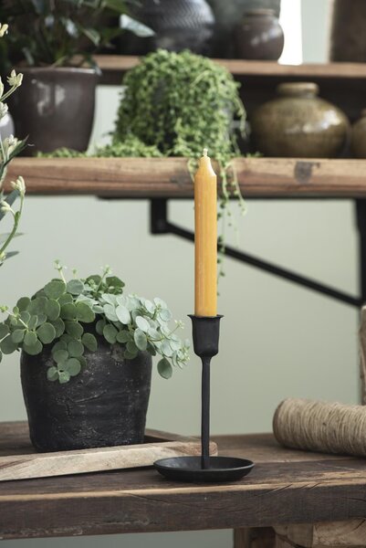 Vysoká sviečka rustic Curry 18 cm