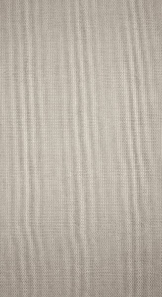 ZÁVES NA KRÚŽKOCH MADISON 140X250 CM STRIEBORNÁ