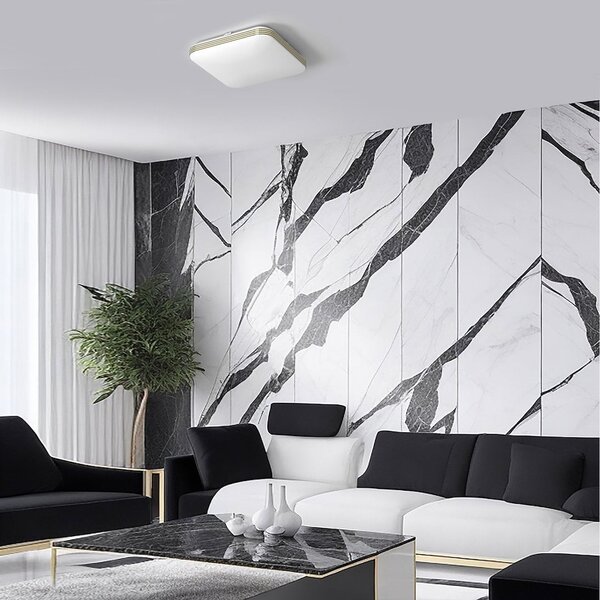 Stropné LED svietidlo Dabar, 1x LED 17w, 4000k, g