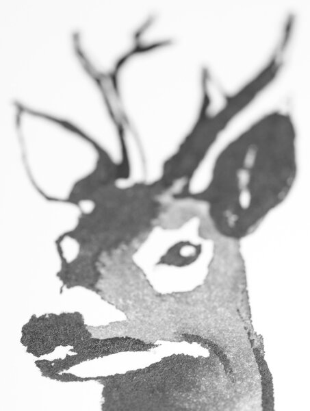 Teemu Järvi Plagát Roe Deer 50x70