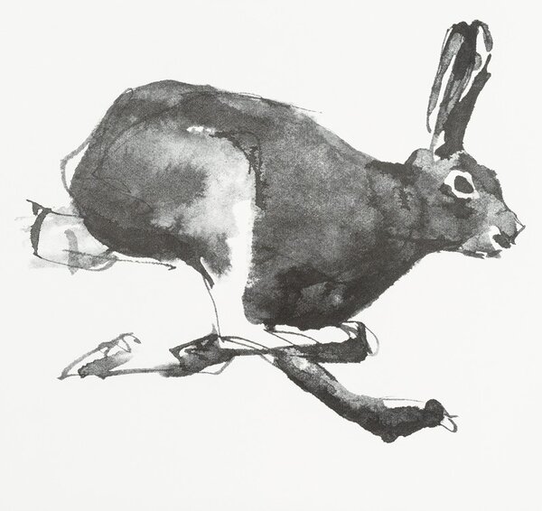 Teemu Järvi Plagát Mountain Hare 70x50