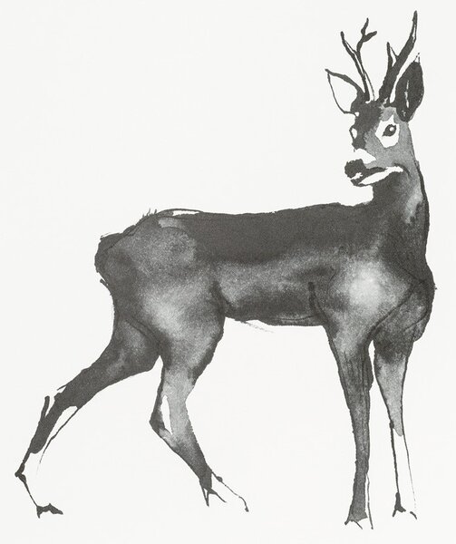 Teemu Järvi Plagát Roe Deer 50x70