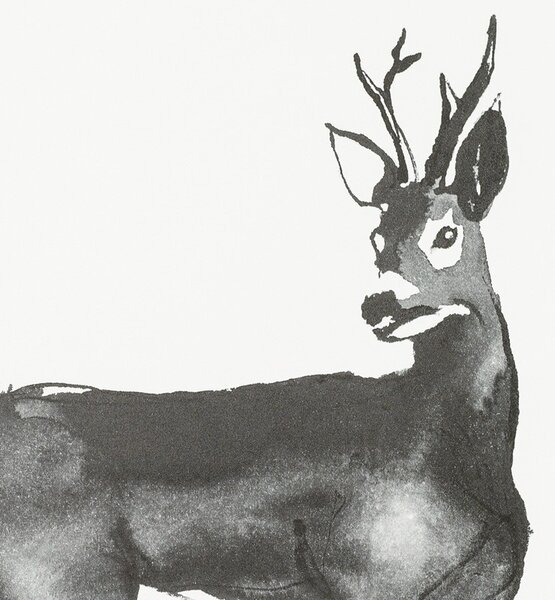 Teemu Järvi Plagát Roe Deer 50x70