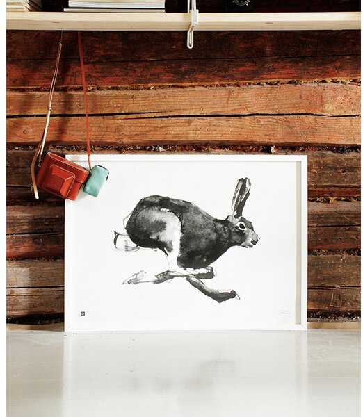 Teemu Järvi Plagát Mountain Hare 70x50