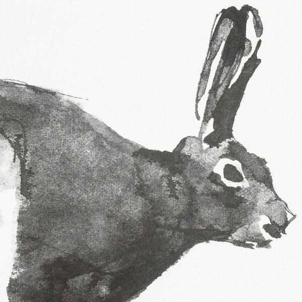 Teemu Järvi Plagát Mountain Hare 70x50