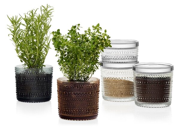 Iittala Dóza Kastehelmi, veľká / číra