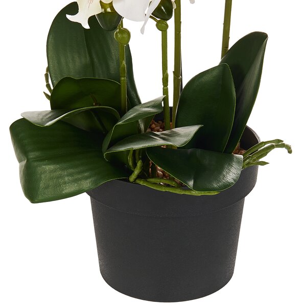 Umelá rastlina v kvetináči orchidea zelená a biela syntetický materiál 63 cm dekorácie doplnky interiér