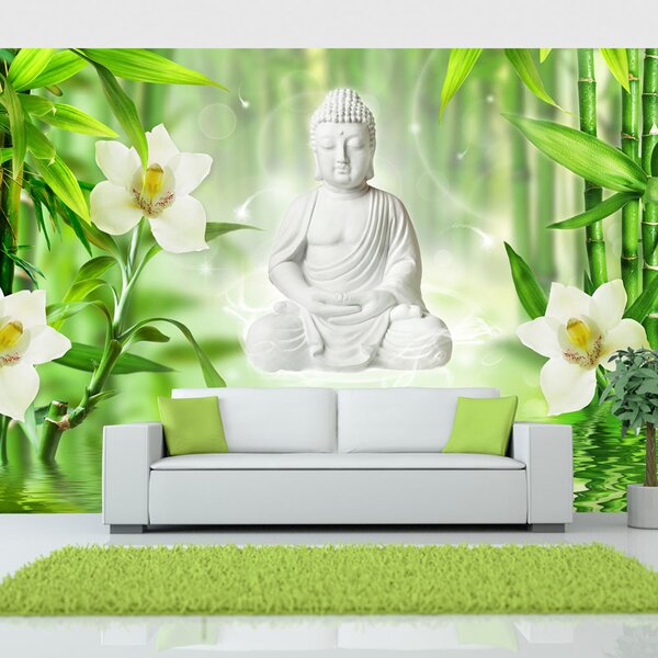Fototapeta - Buddha a príroda + zadarmo lepidlo - 250x175