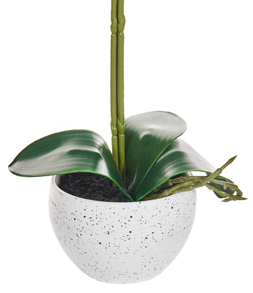 Umelá rastlina v kvetináči orchidea biela a zelená syntetický materiál 42 cm dekorácie doplnky interiér