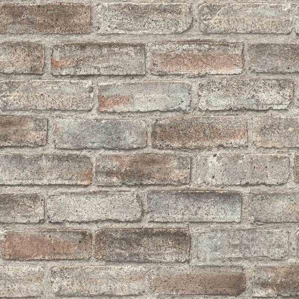 RASCH | Vliesová tapeta na stenu Timeless Selection 869002 | 0,53 x 10,05 m | šedá