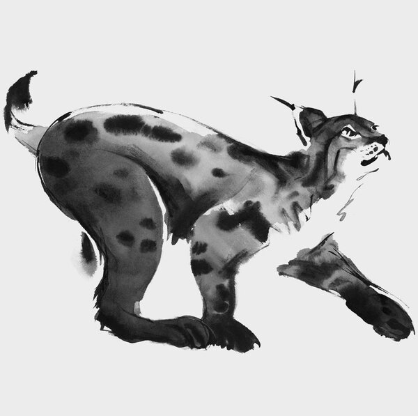 Teemu Järvi Plagát Lynx 70x50