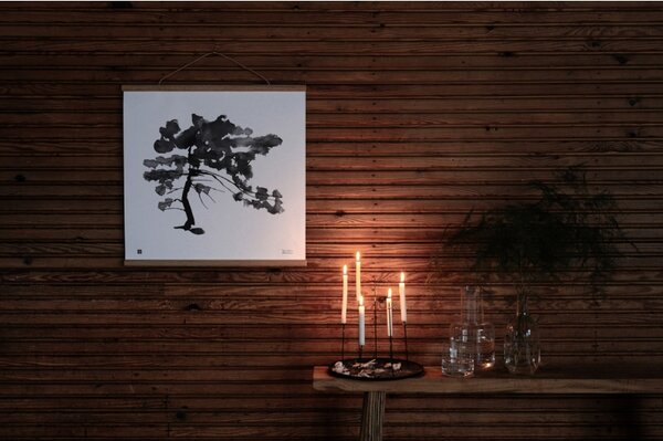 Teemu Järvi Plagát Pine Tree 50x50