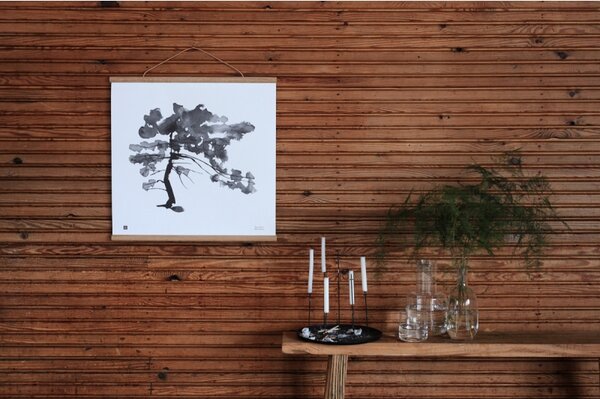 Teemu Järvi Plagát Pine Tree 50x50