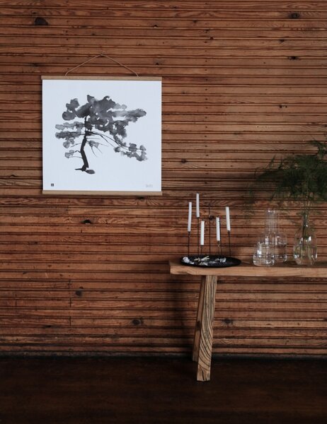 Teemu Järvi Plagát Pine Tree 50x50