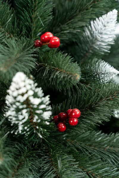 Vianočný stromček- Borovica s jarabinou 120cm