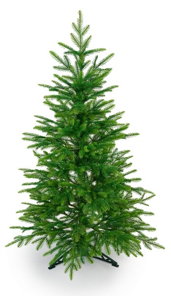 Smrek Kaukazský 100% 3D- 130cm