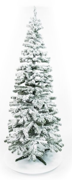 Jedlička Karolina so snehom 180cm