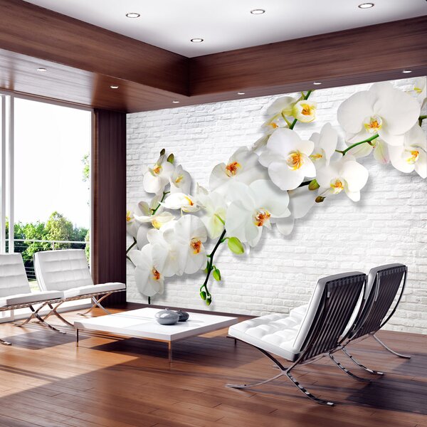 Fototapeta - Biela orchidea II + zadarmo lepidlo - 250x175