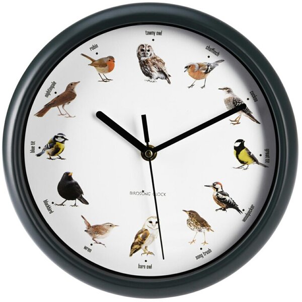 Nástenné hodiny Birds, biela/zelená