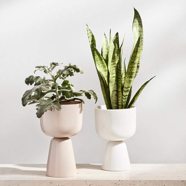 Iittala Kvetináč Nappula S, biely