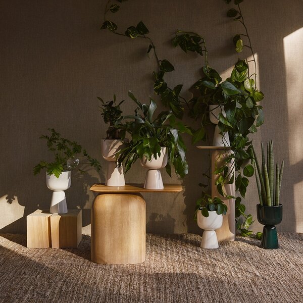 Iittala Kvetináč Nappula S, vysoký / zelený